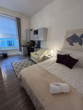 Spacious Studio Flat Paddington